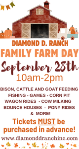 Diamond D Ranch Fall Farm Day